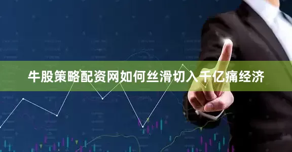 牛股策略配资网如何丝滑切入千亿痛经济
