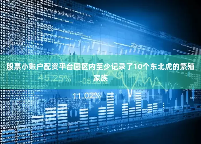 股票小账户配资平台园区内至少记录了10个东北虎的繁殖家族